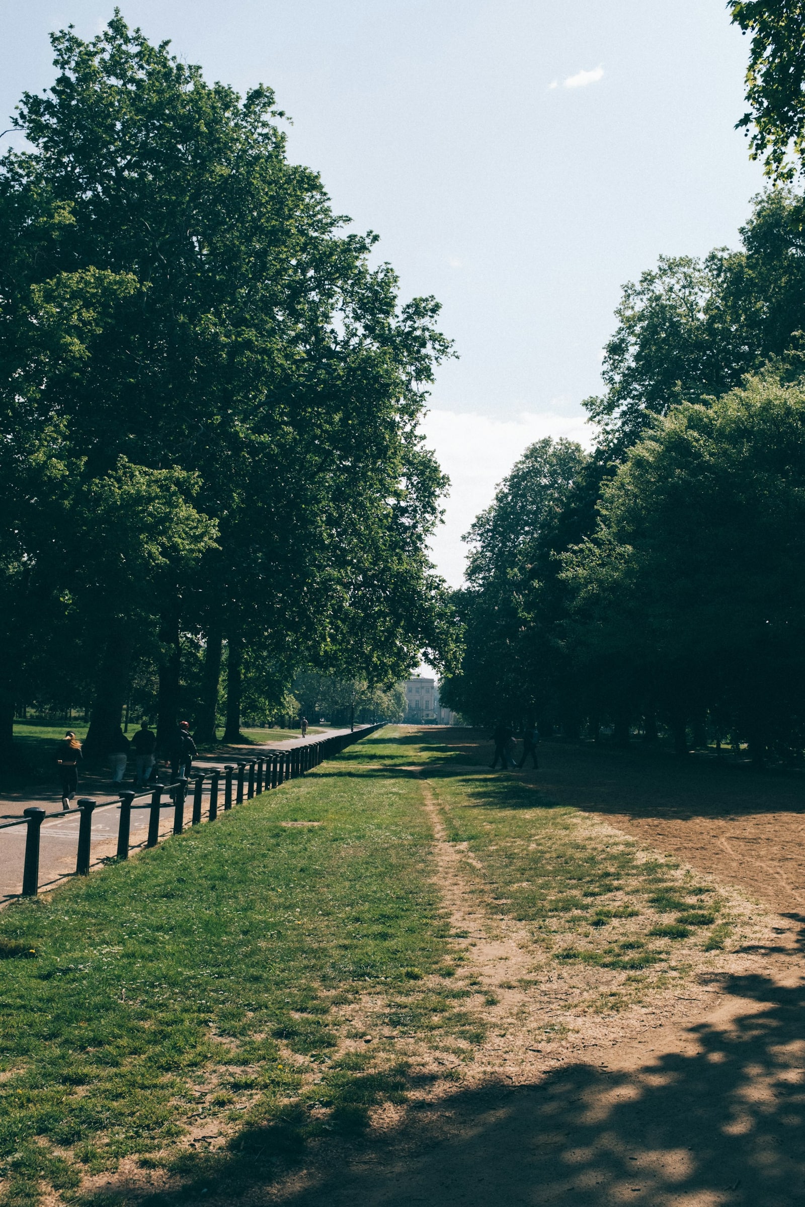 Summer: a green park on a sunny day